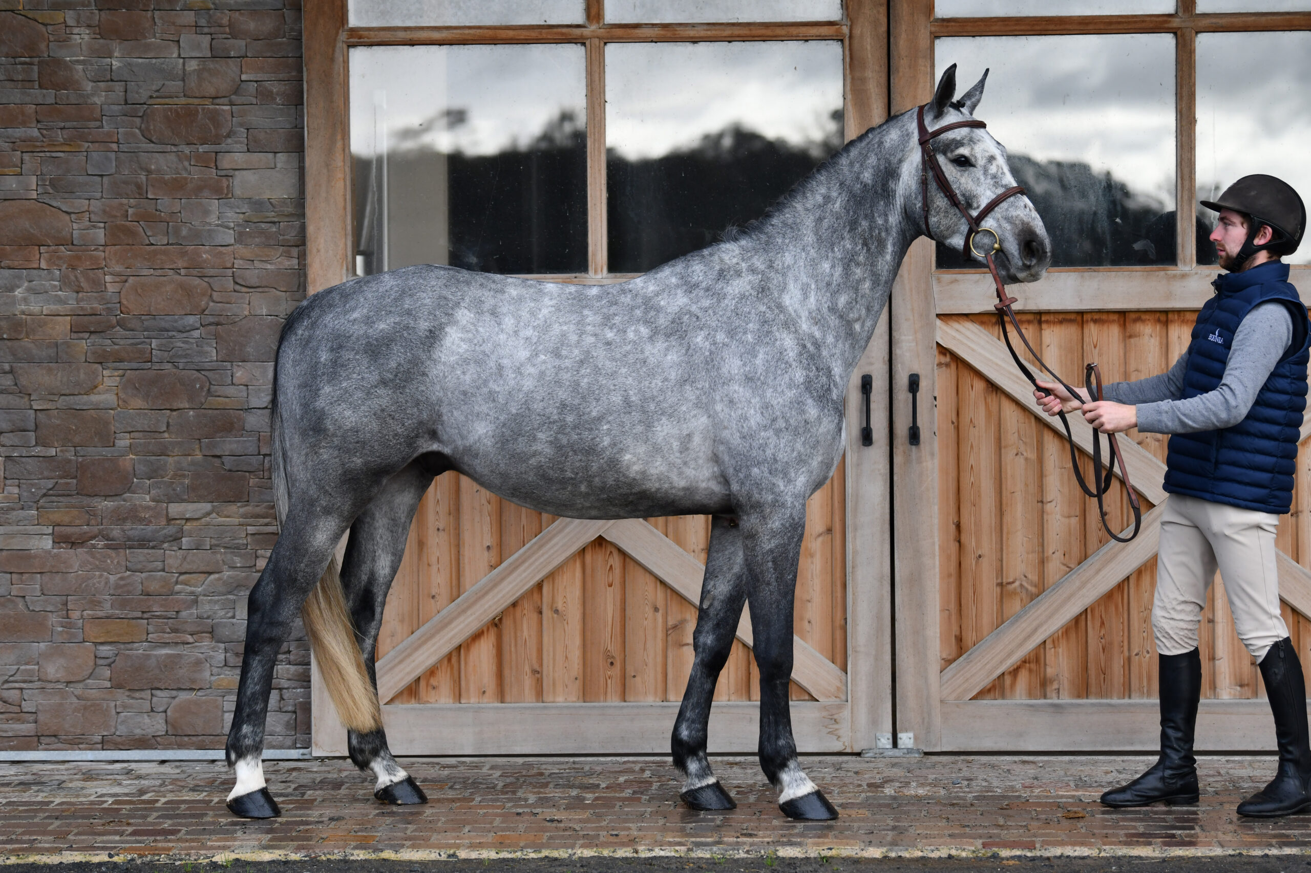 Jack's Dream Semilly - modèle - Equinia 2023 (2)