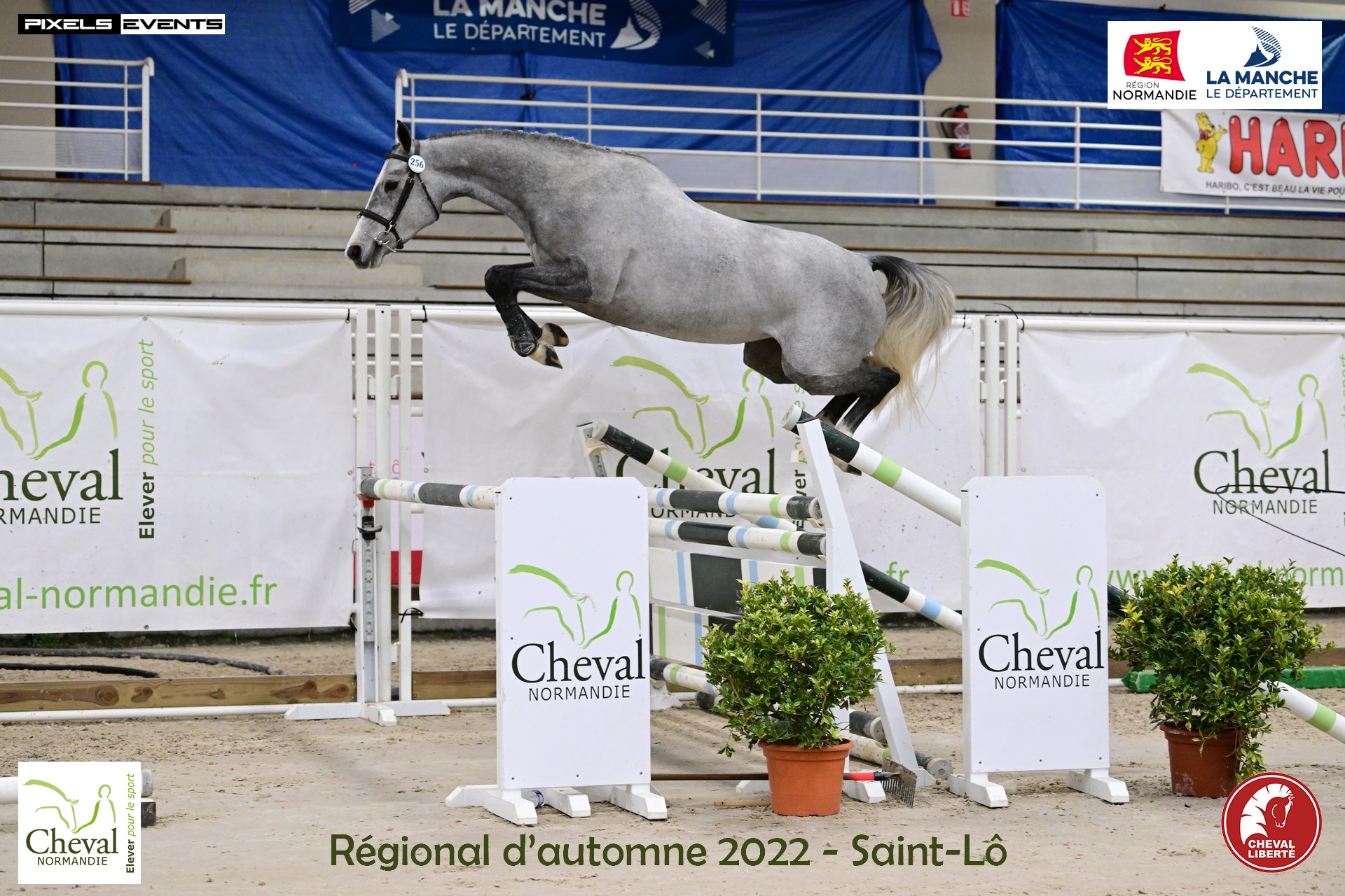 Jamaïca Semilly - saut 3A - régional 2