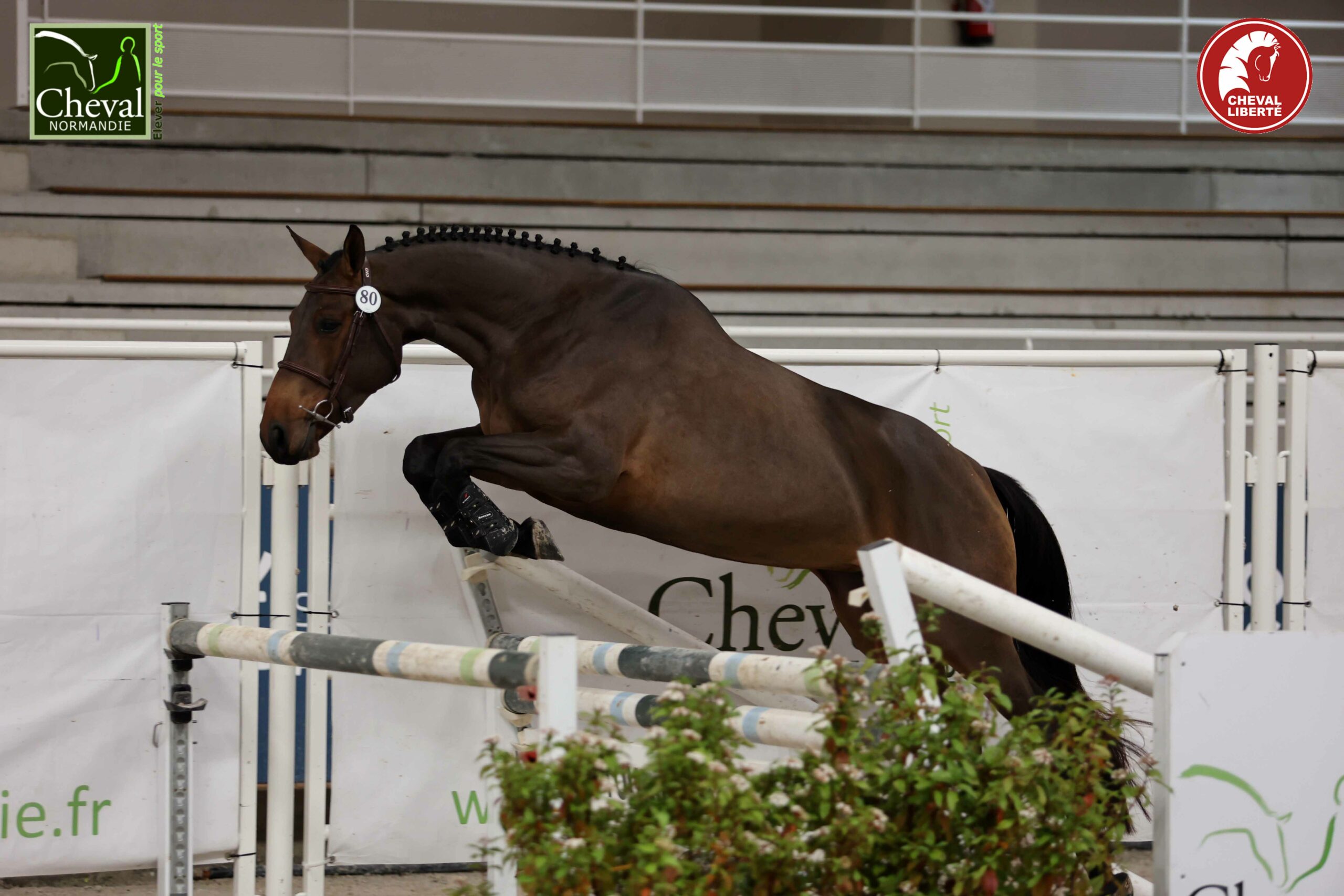 KISS KISS SEMILLY saut lib 3A regional 1